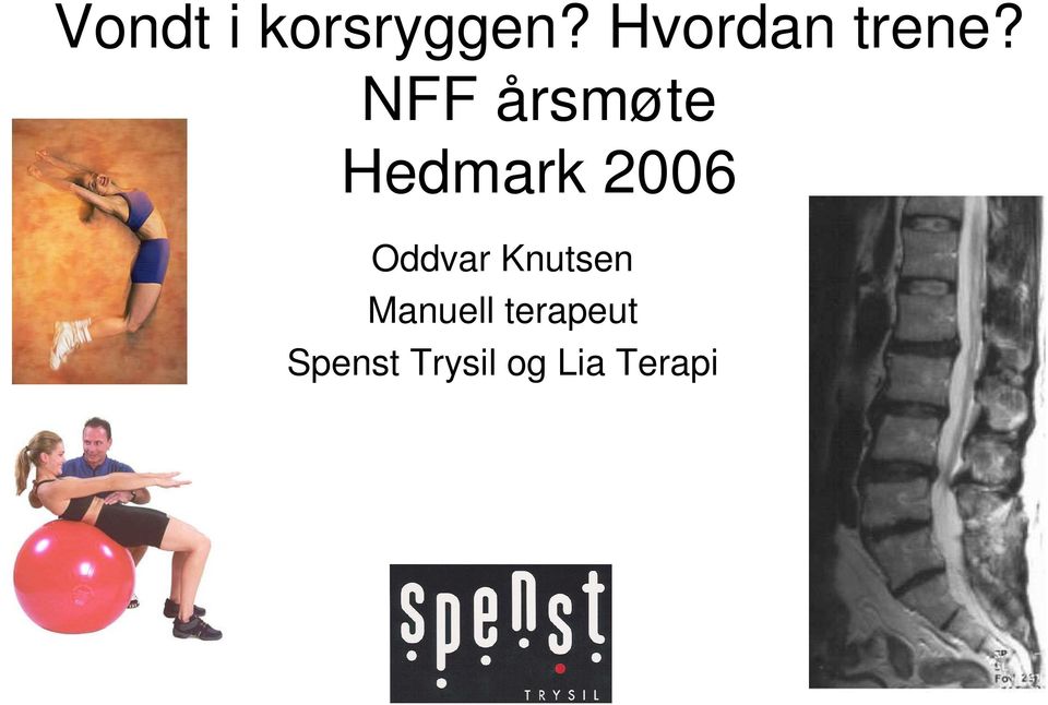 NFF årsmøte Hedmark 2006