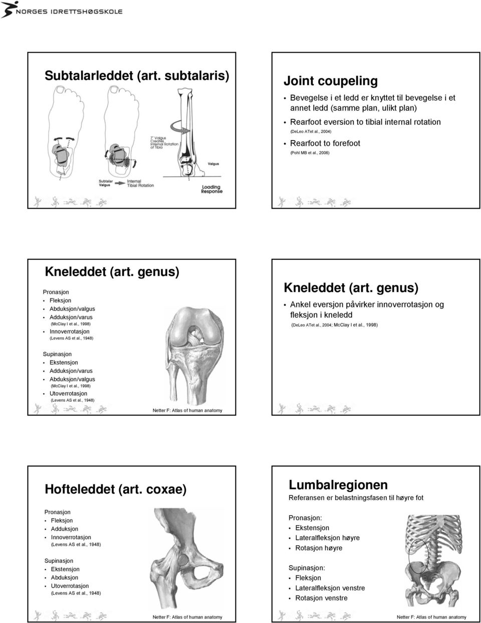 , 1948) Kneleddet (art. genus) Ankel eversjon påvirker innoverrotasjon og fleksjon i kneledd (DeLeo ATet al., 2004; McClay I et al.