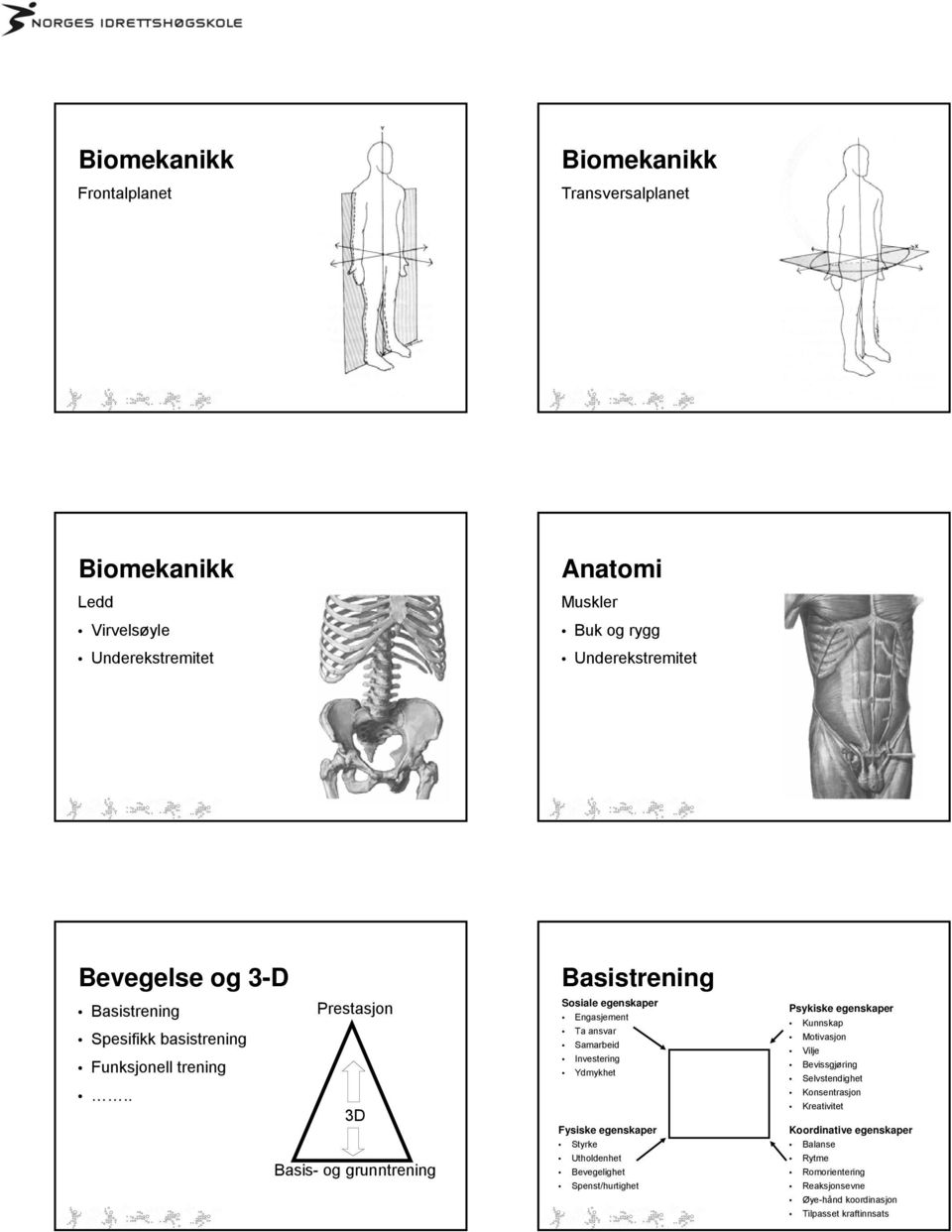 . 3D Basis- og grunntrening Basistrening Sosiale egenskaper Engasjement Ta ansvar Samarbeid Investering Ydmykhet Fysiske egenskaper Styrke Utholdenhet