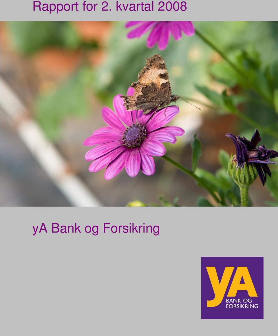 2008 ya Bank