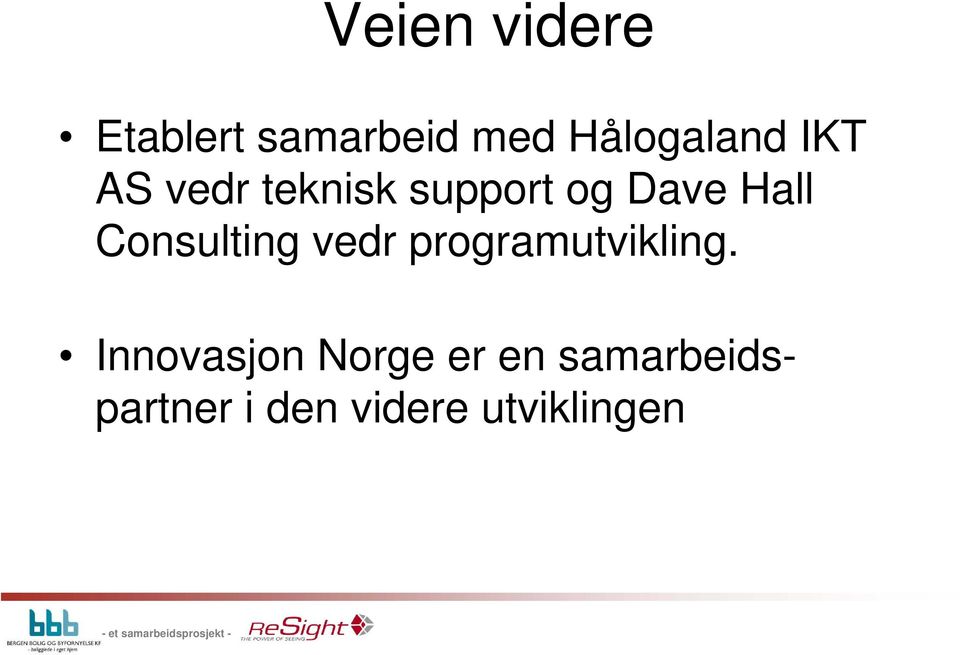 Consulting vedr programutvikling.