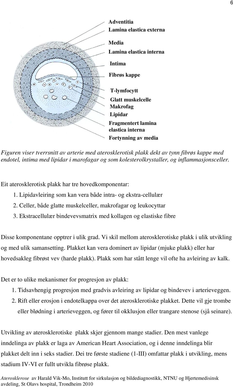 Eit aterosklerotisk plakk har tre hovedkomponentar: 1. Lipidavleiring som kan vera både intra- og ekstra-cellulær 2. Celler, både glatte muskelceller, makrofagar og leukocyttar 3.