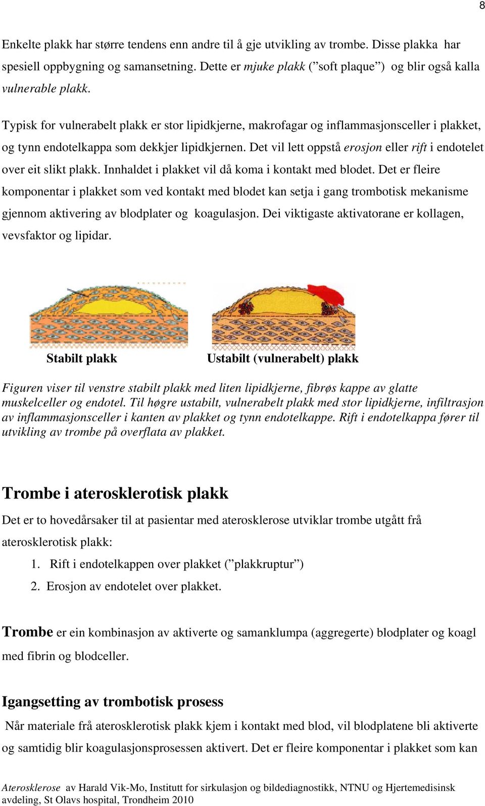 Typisk for vulnerabelt plakk er stor lipidkjerne, makrofagar og inflammasjonsceller i plakket, og tynn endotelkappa som dekkjer lipidkjernen.