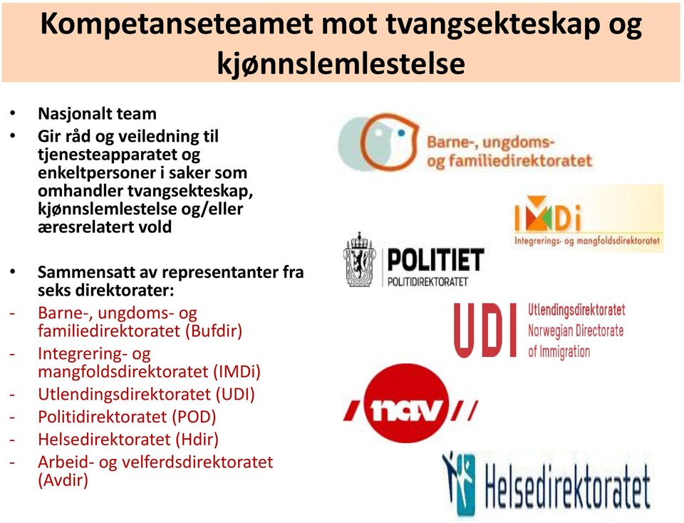 representanter fra seks direktorater: - Barne-, ungdoms- og familiedirektoratet (Bufdir) - Integrering- og