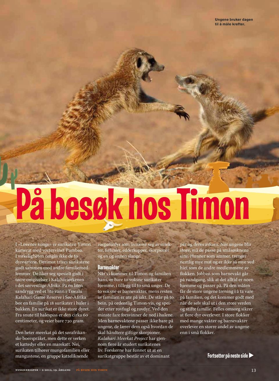 På n litn sandrygg vd t lit vann i Tswalu Kalahari Gam Rsrv i Sør-Afrika bor n famili på 18 surikatr i hulr i bakkn. En surikat r ikk stor dyrt.