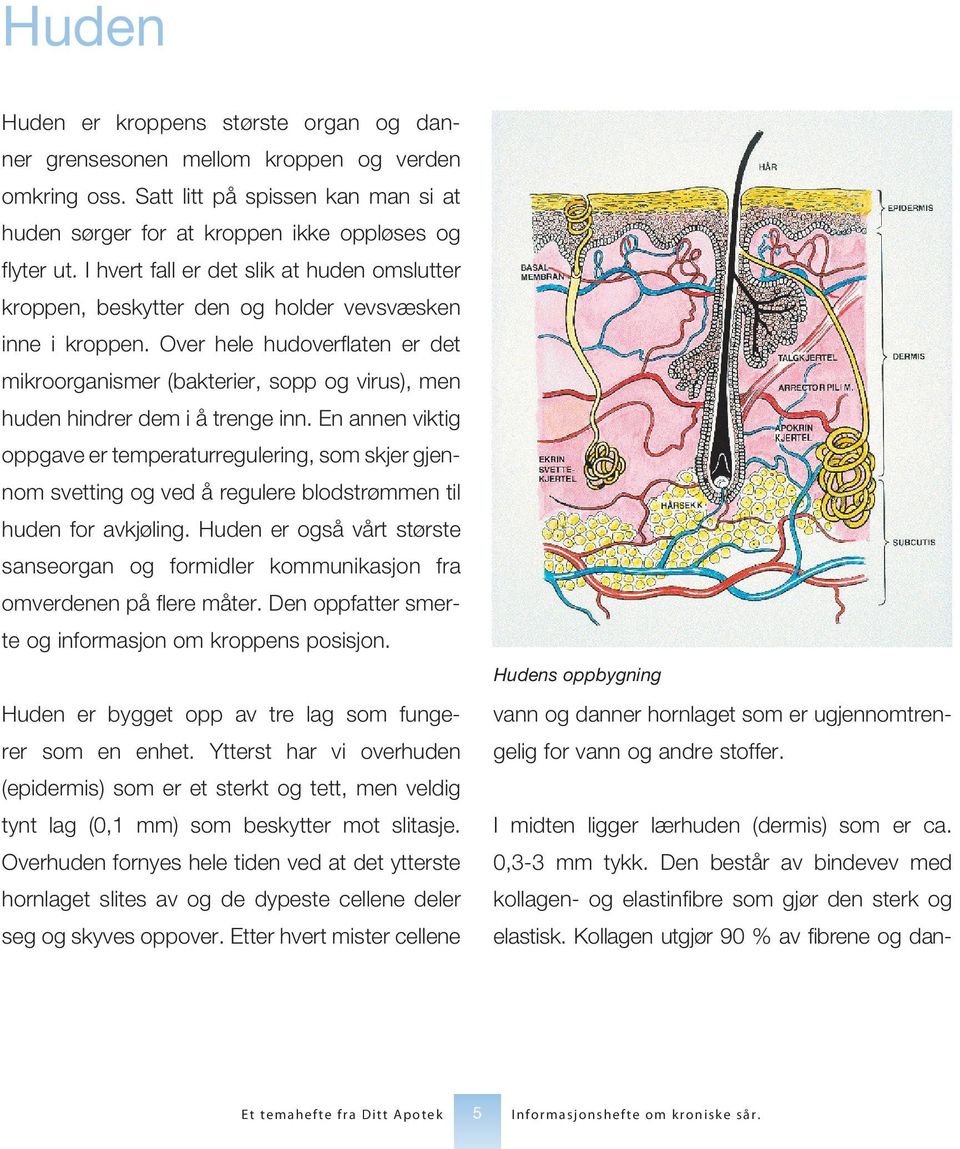 Over hele hudoverflaten er det mikroorganismer (bakterier, sopp og virus), men huden hindrer dem i å trenge inn.