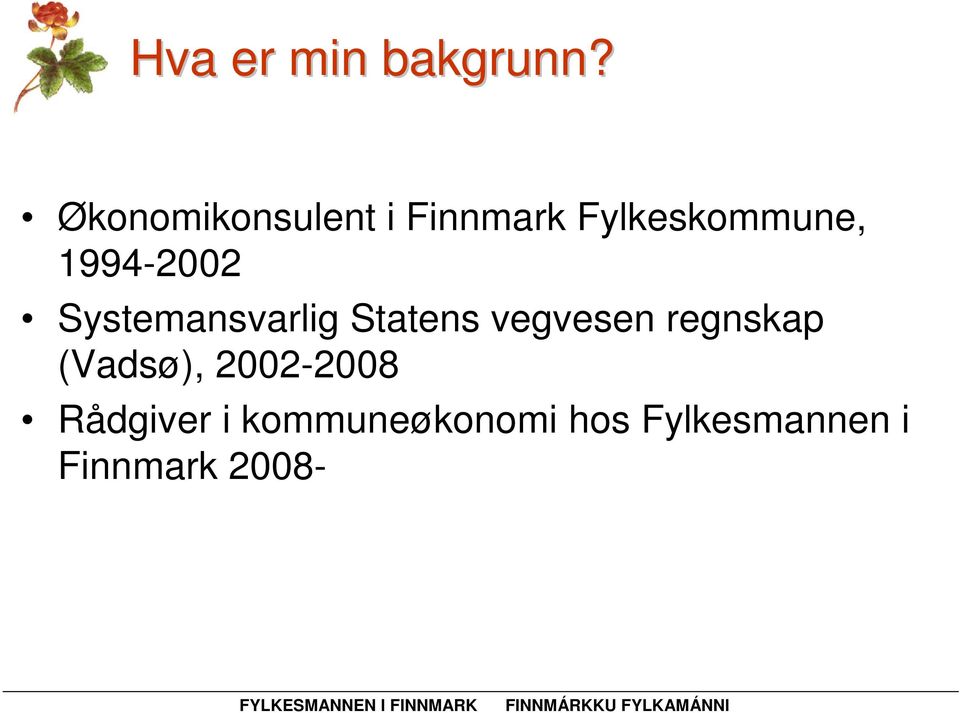 1994-2002 Systemansvarlig Statens vegvesen