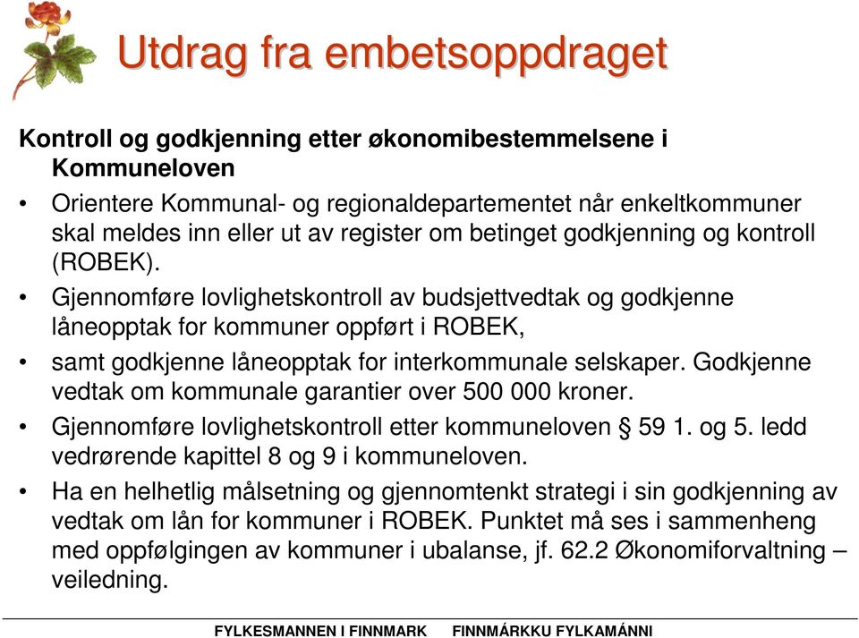 Gjennomføre lovlighetskontroll av budsjettvedtak og godkjenne låneopptak for kommuner oppført i ROBEK, samt godkjenne låneopptak for interkommunale selskaper.