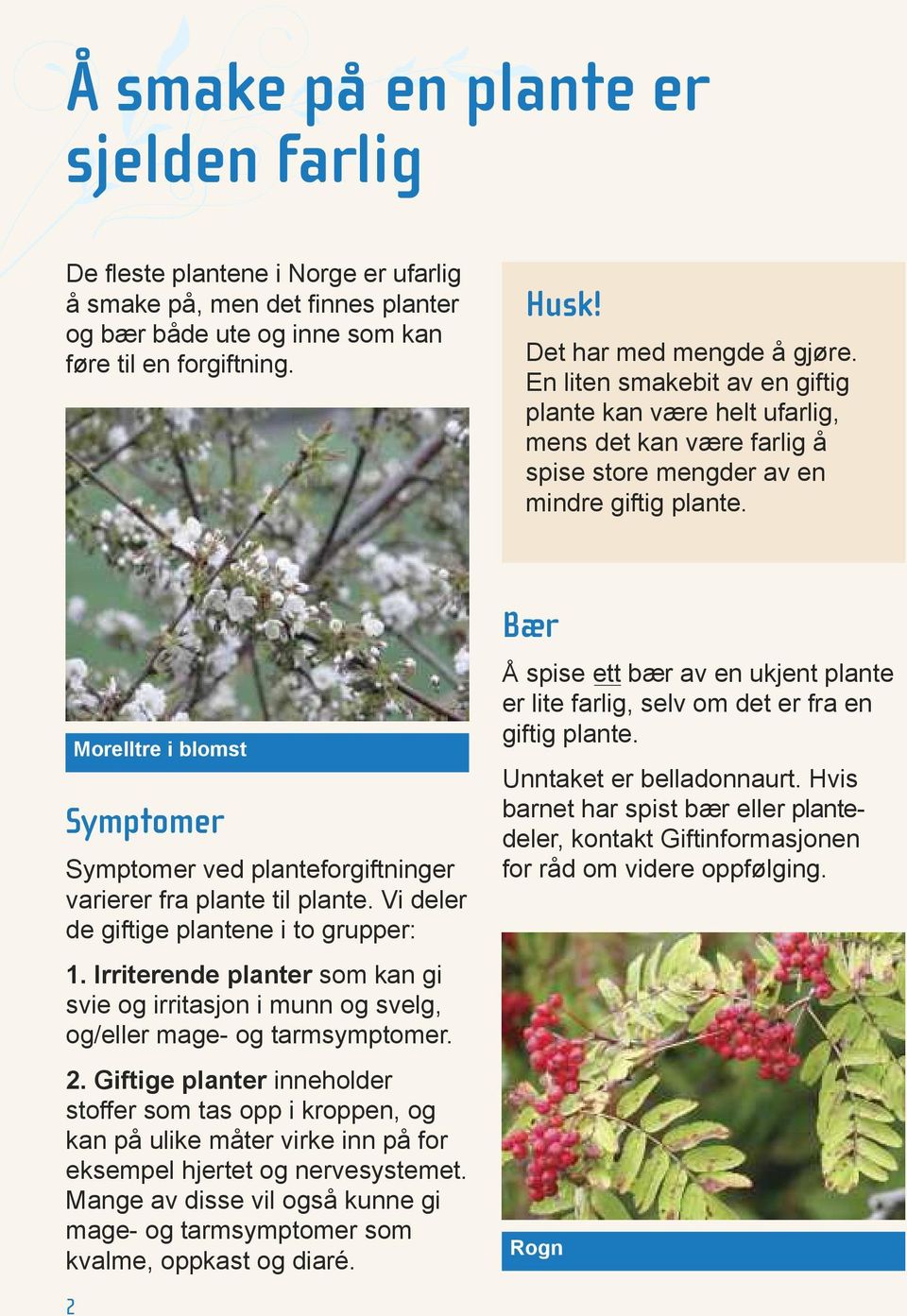 Symptomer Symptomer ved planteforgiftninger varierer fra plante til plante. Vi deler de giftige plantene i to grupper: 1.