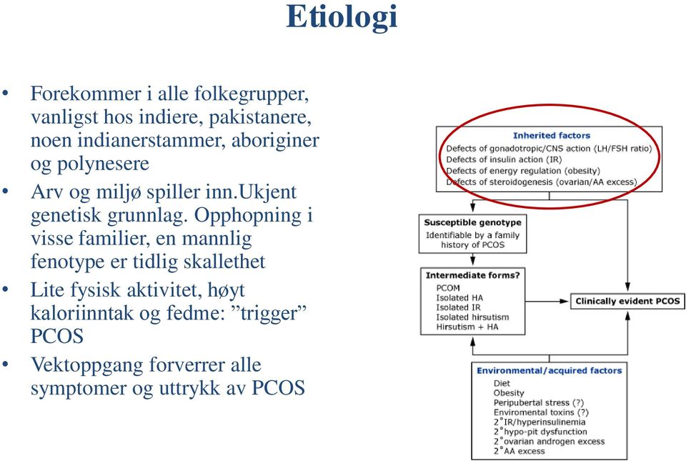 Opphopning i visse familier, en mannlig fenotype er tidlig skallethet Lite fysisk