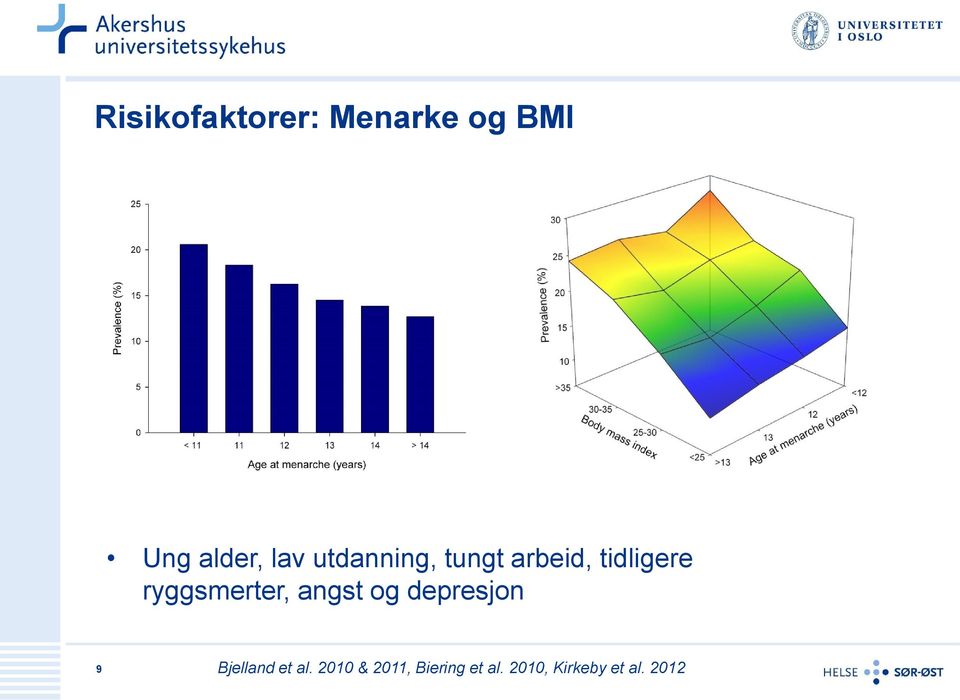 ryggsmerter, angst og depresjon 9 Bjelland et