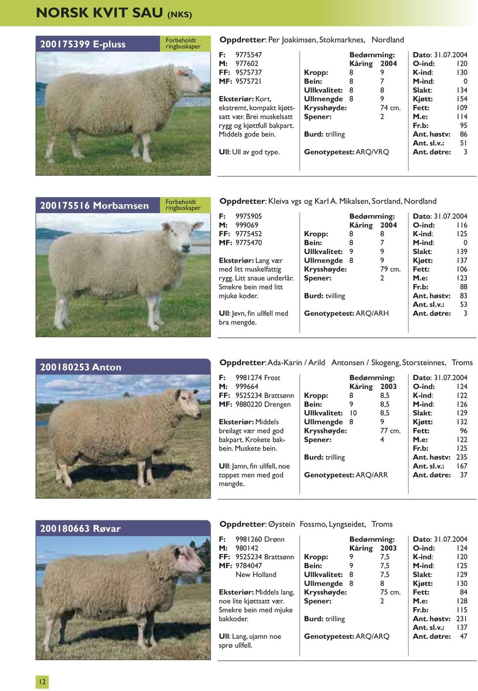 Genotypetest: ARQ/VRQ O-ind: 120 K-ind: 130 M-ind: 0 Slakt: 134 Kjøtt: 154 Fett: 109 M.e: 114 Fr.b: 95 Ant. høstv: 86 Ant. sl.v.: 51 Ant.
