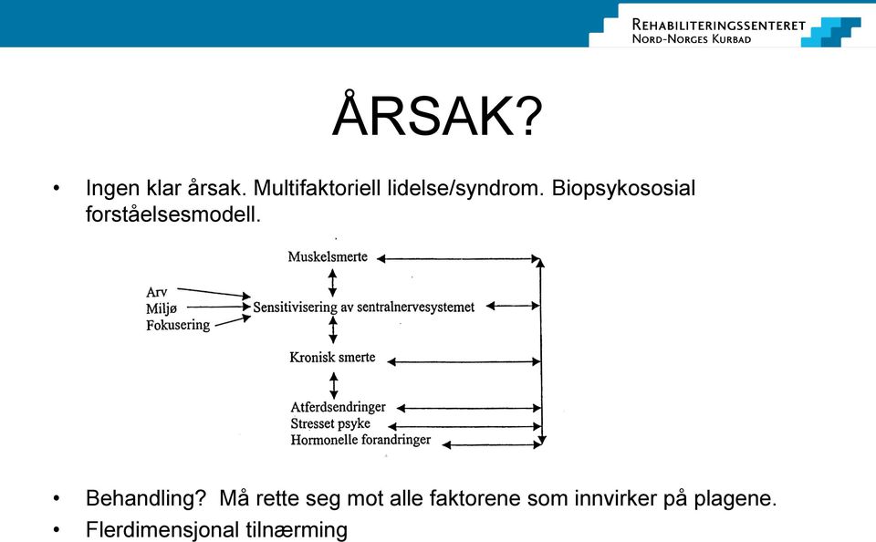 Biopsykososial forståelsesmodell. Behandling?