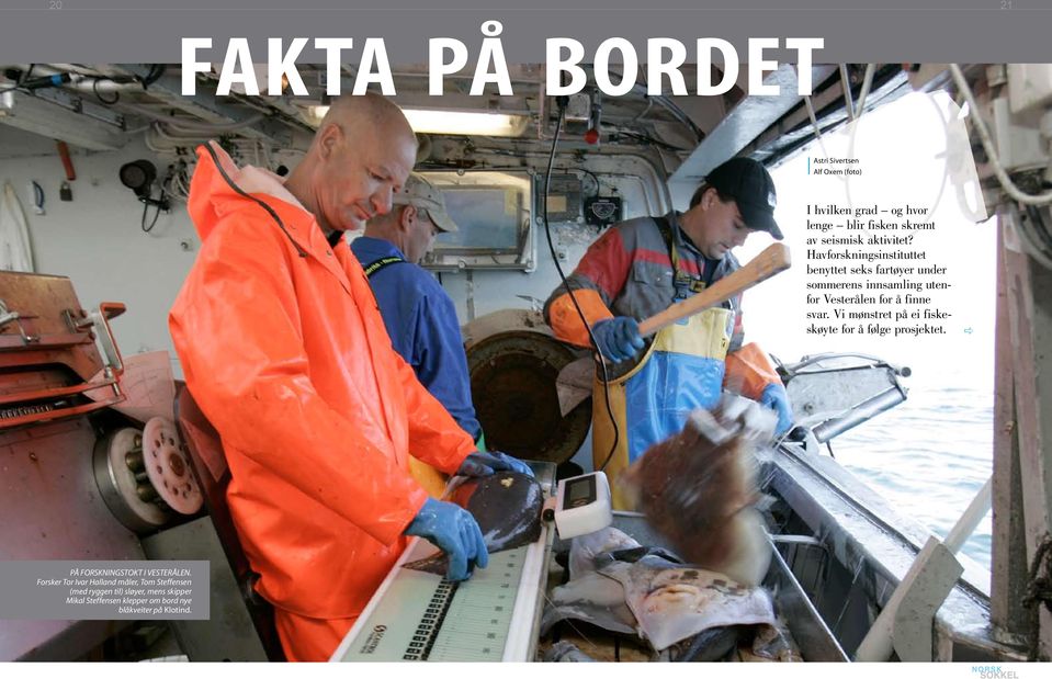Hvforskningsinstituttet benyttet seks frtøyer under sommerens innsmling utenfor Vesterålen for å finne svr.