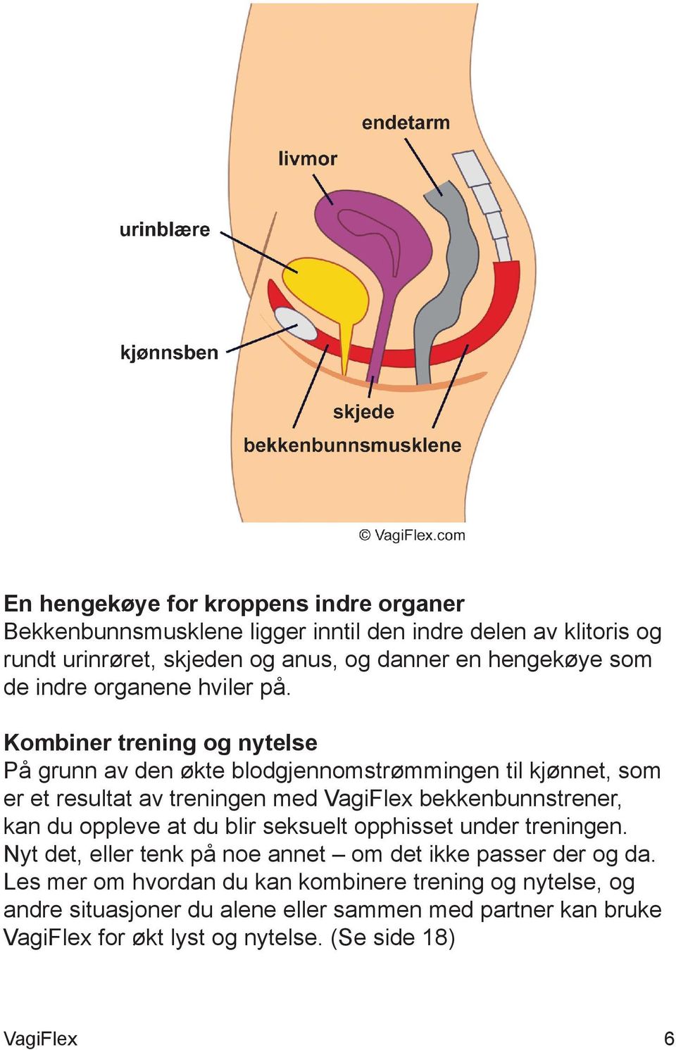 Kombiner trening og nytelse På grunn av den økte blodgjennomstrømmingen til kjønnet, som er et resultat av treningen med bekkenbunnstrener, kan du oppleve