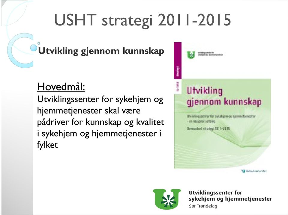 sykehjem og hjemmetjenester skal være pådriver