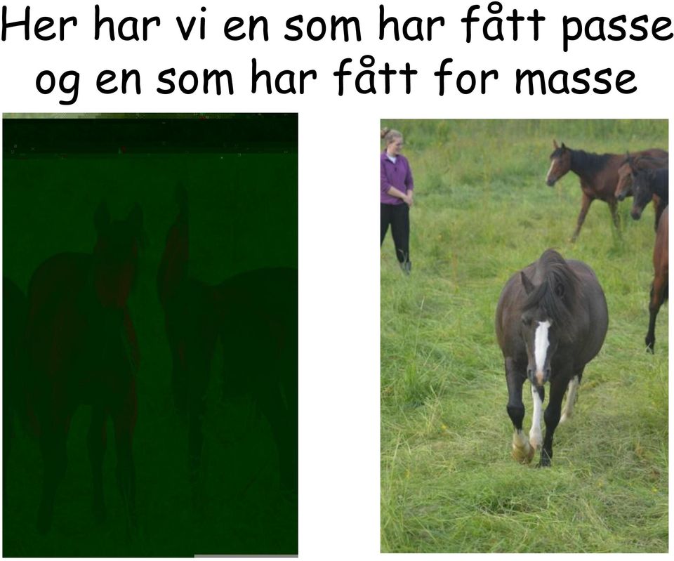 passe og en 