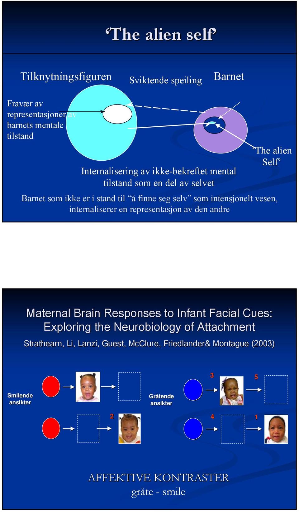 internaliserer en representasjon av den andre Maternal Brain Responses to Infant Facial Cues: Exploring the Neurobiology of Attachment
