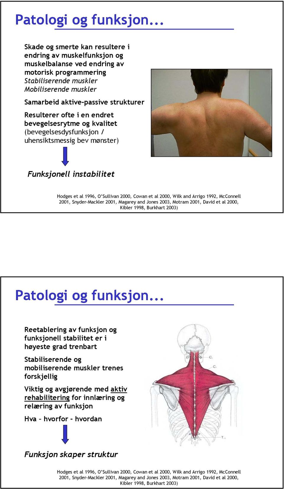 Resulterer ofte i en endret bevegelsesrytme og kvalitet (bevegelsesdysfunksjon / uhensiktsmessig bev mønster) Funksjonell instabilitet Hodges et al 1996, O Sullivan 2000, Cowan et al 2000, Wilk and