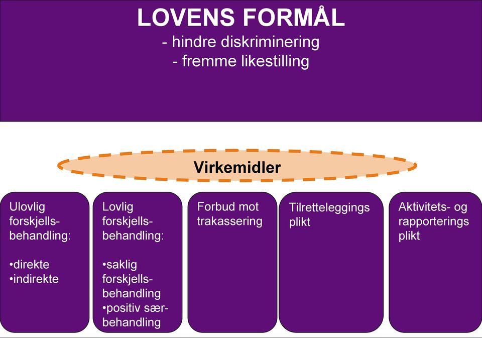 forskjellsbehandling: Forbud mot trakassering Tilretteleggings plikt