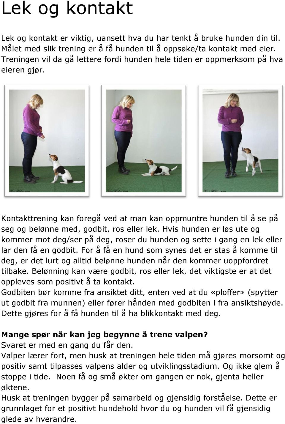 Mange spør når kan jeg begynne å trene valpen? - PDF Gratis nedlasting