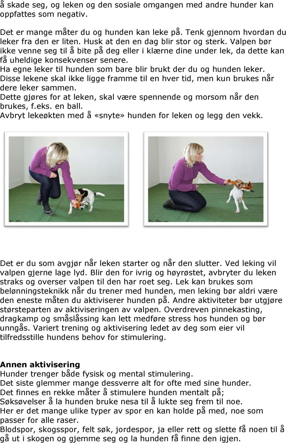 Ha egne leker til hunden som bare blir brukt der du og hunden leker. Disse lekene skal ikke ligge framme til en hver tid, men kun brukes når dere leker sammen.