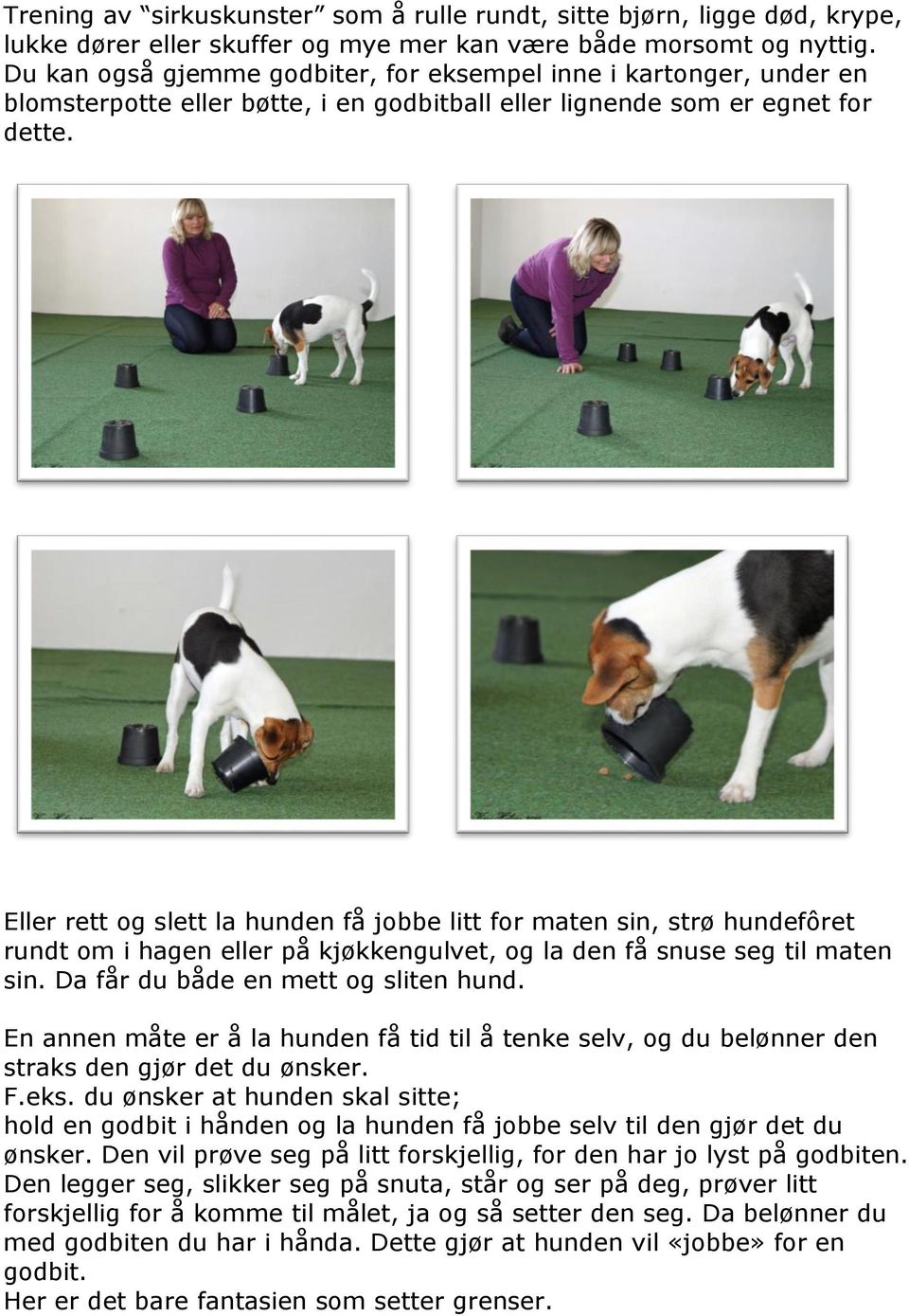 Eller rett og slett la hunden få jobbe litt for maten sin, strø hundefôret rundt om i hagen eller på kjøkkengulvet, og la den få snuse seg til maten sin. Da får du både en mett og sliten hund.