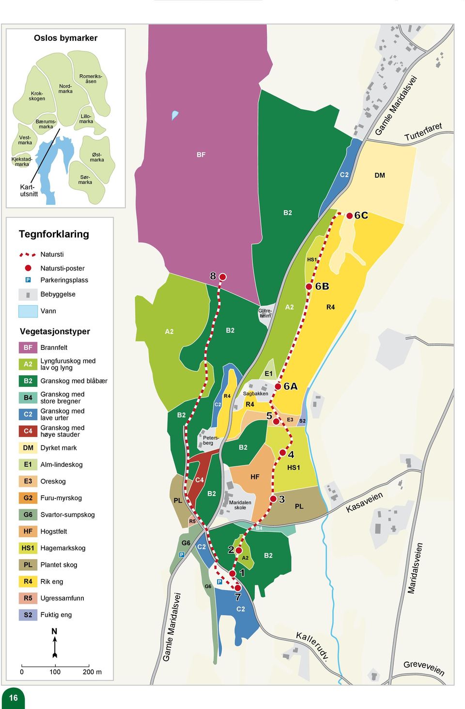 bregner Granskog med lave urter Granskog med høye stauder Dyrket mark B2 C2 Petersberg R4 Sagbakken R4 B2 E3 S2 E1 E3 Alm-lindeskog Oreskog C4 HF HS1 G2 G6 HF Furu-myrskog Svartor-sumpskog