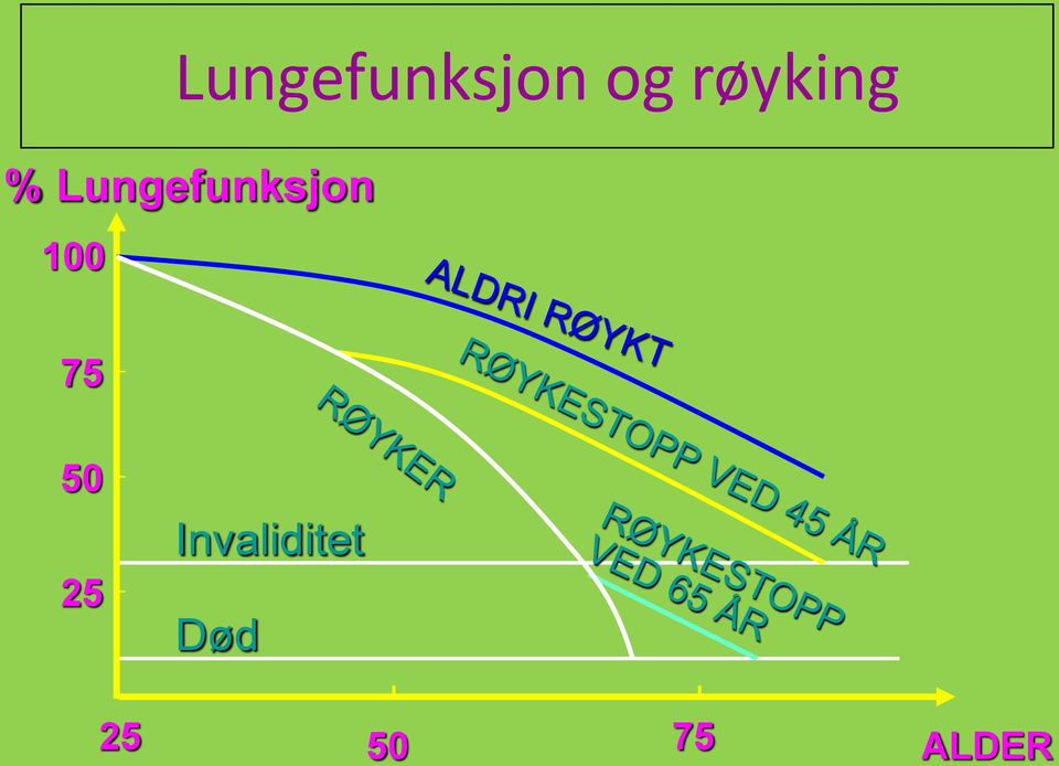 Lungefunksjon 100 75