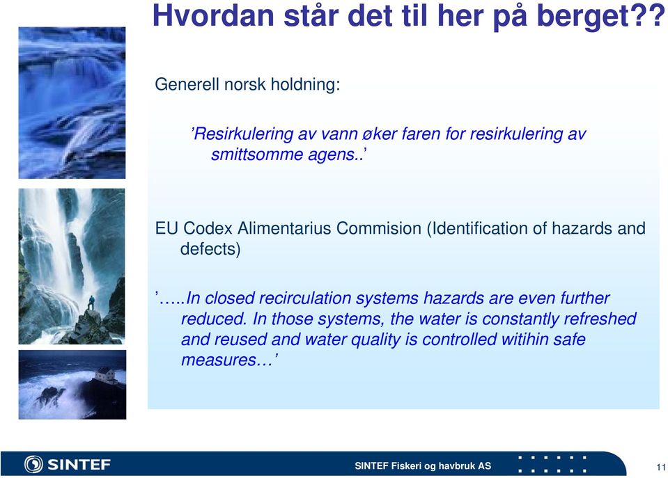 . EU Codex Alimentarius Commision (Identification of hazards and defects).