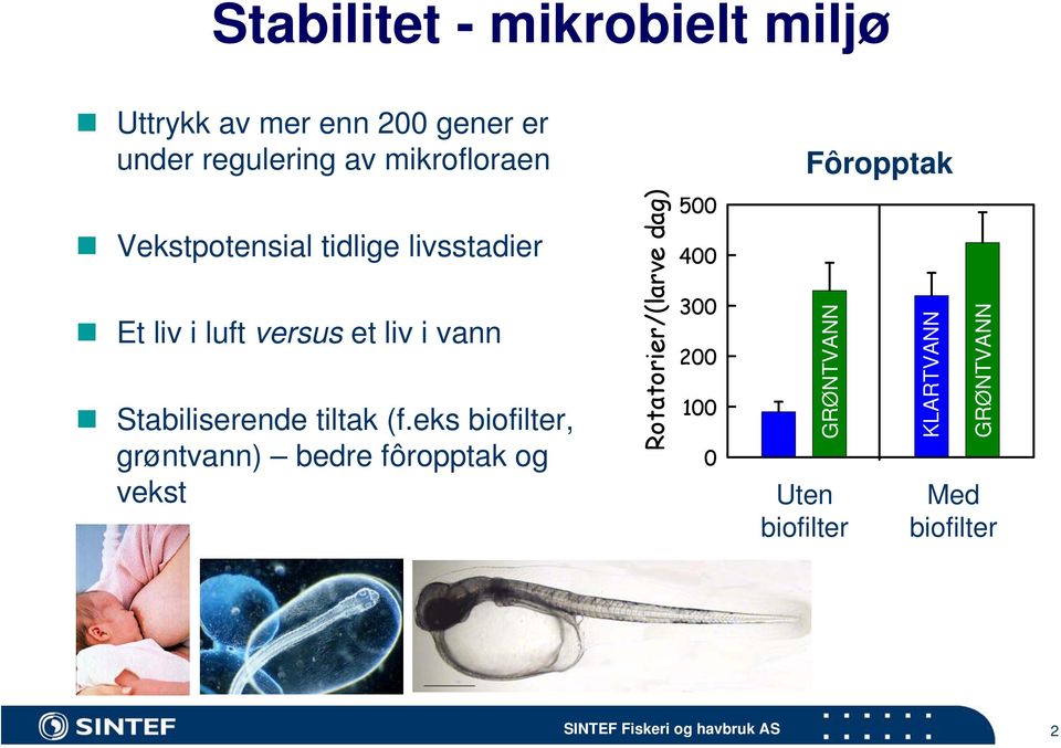 vann Stabiliserende tiltak (f.