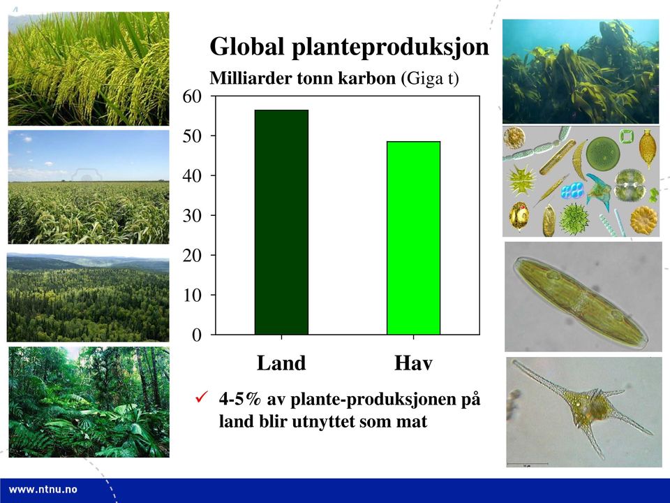 karbon (Giga t) 0 Land Hav 4-5% av