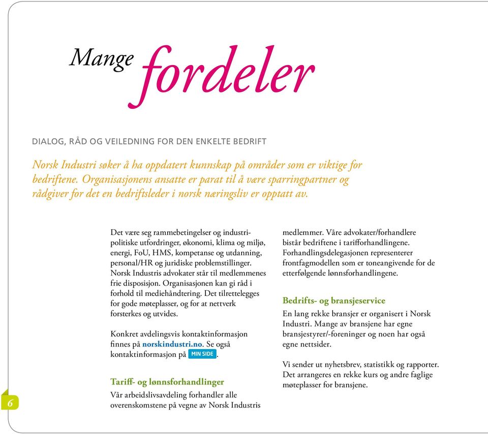 6 Det være seg rammebetingelser og industripolitiske utfordringer, økonomi, klima og miljø, energi, FoU, HMS, kompetanse og utdanning, personal/hr og juridiske problemstillinger.