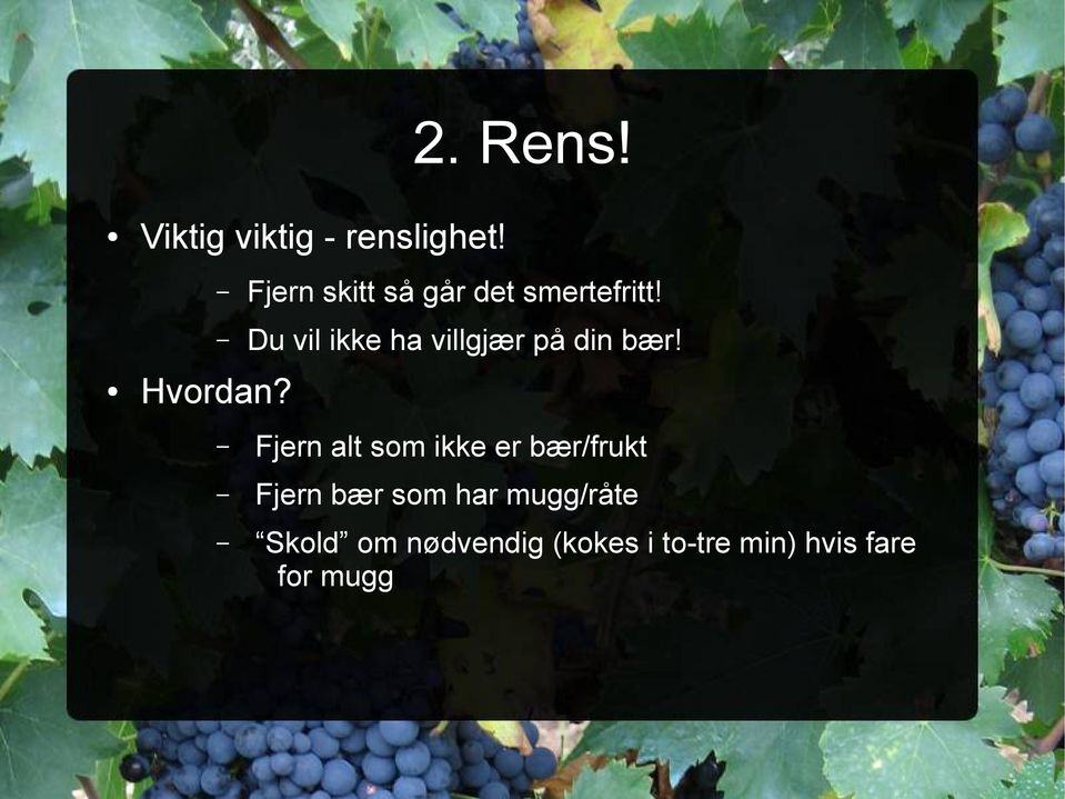 Du vil ikke ha villgjær på din bær! Hvordan?