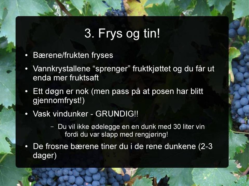 fruktsaft Ett døgn er nok (men pass på at posen har blitt gjennomfryst!