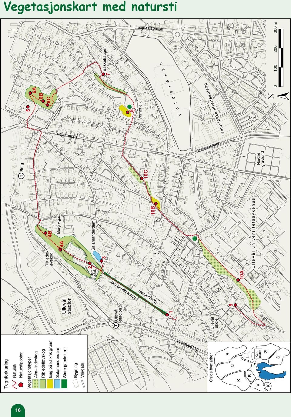 Ullevål skole 9 10A 10B Berg 10C 5 6B 6C 8 6A 7 Bakkehaugen Maridalsveien V o l d s l ø k k a Nordre gravlund Vernet eik Voldsløkka idrettsanlegg