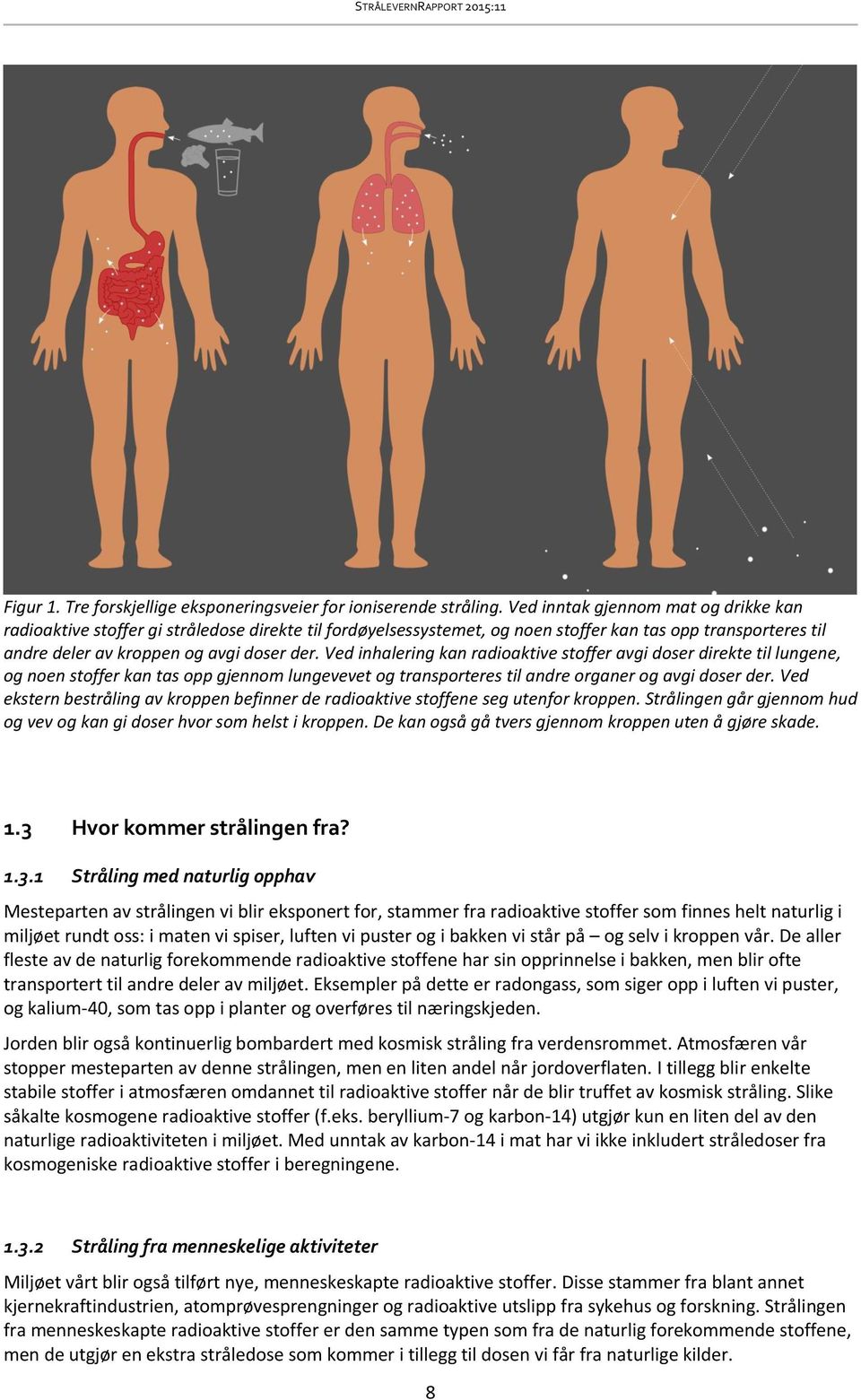 Ved inhalering kan radioaktive stoffer avgi doser direkte til lungene, og noen stoffer kan tas opp gjennom lungevevet og transporteres til andre organer og avgi doser der.