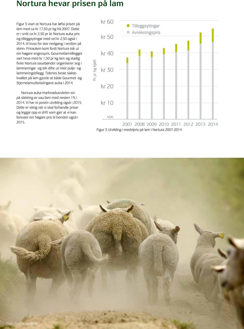 Prisauken kom fordi Nortura tok ut ein høgare engrospris, Gourmetlamtillegget vart heva med kr 1,50 pr kg lam og stadig fleire Nortura sauebønder organiserer seg i lammeringar og tek difor ut meir