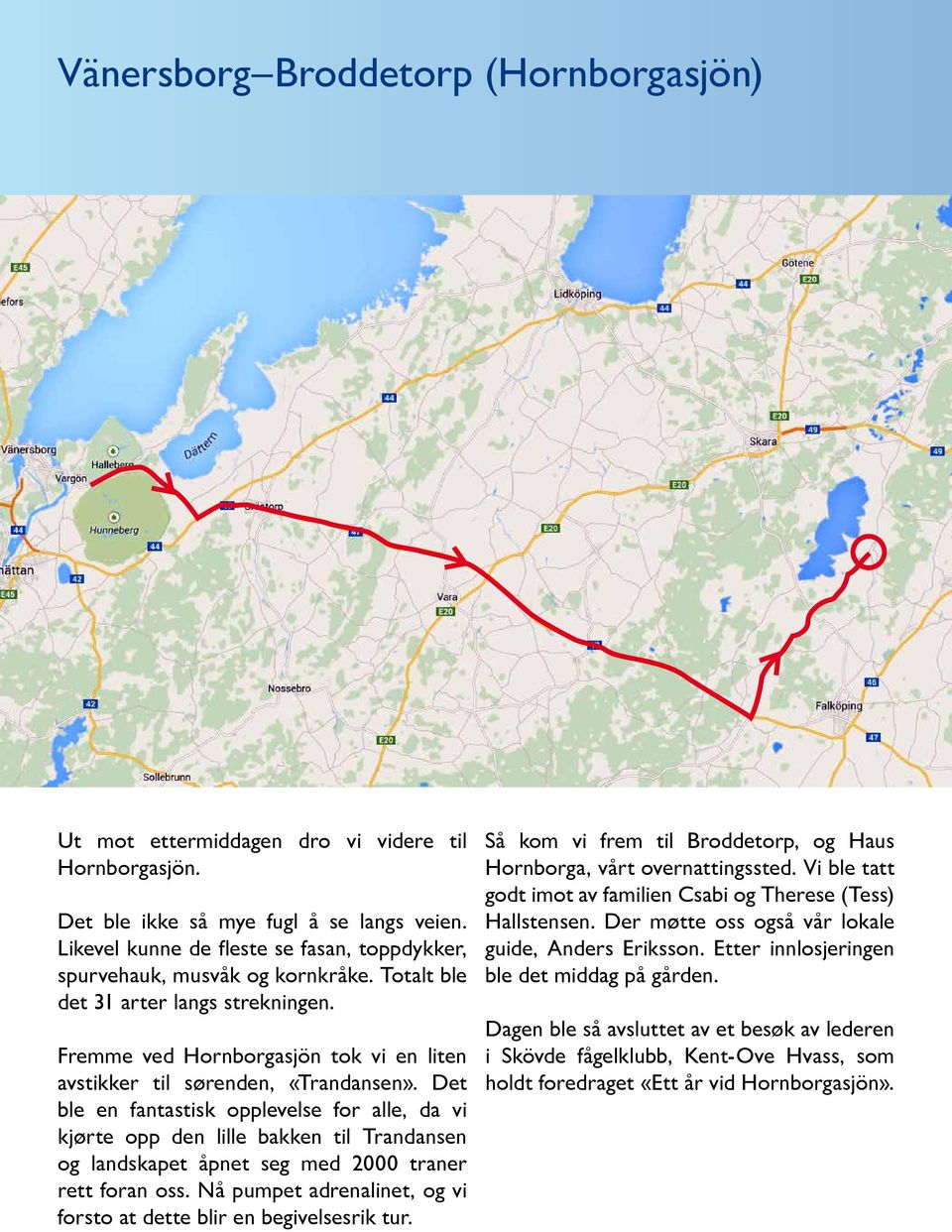 Det ble en fantastisk opplevelse for alle, da vi kjørte opp den lille bakken til Trandansen og landskapet åpnet seg med 2000 traner rett foran oss.