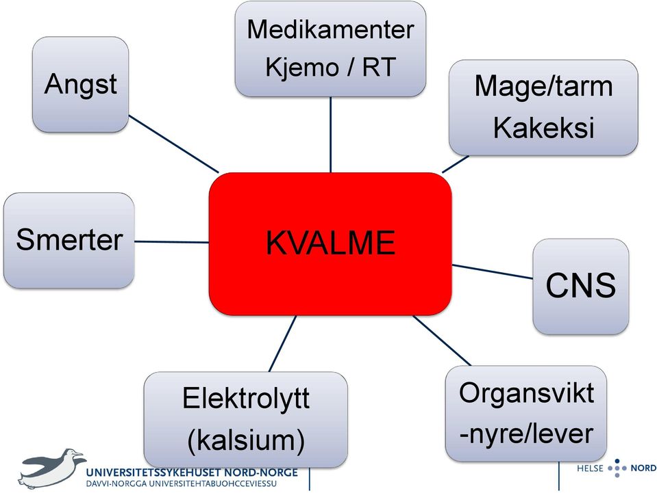 Smerter KVALME CNS