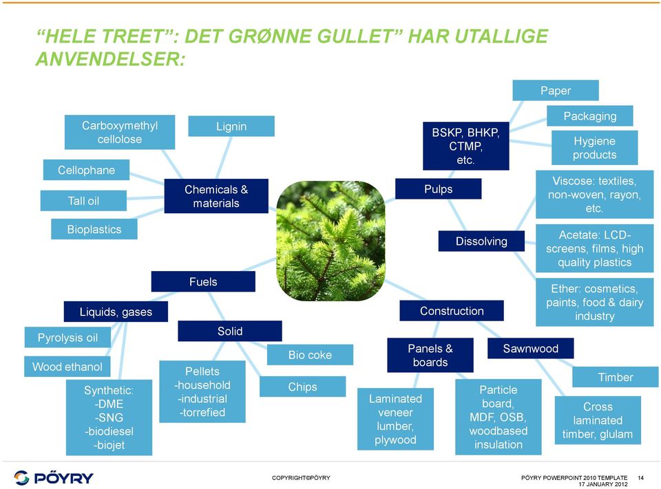 Bioplastics Dissolving Acetate: LCDscreens, films, high quality plastics Pyrolysis oil Wood ethanol Liquids, gases Synthetic: -DME -SNG -biodiesel -biojet Fuels Solid Pellets