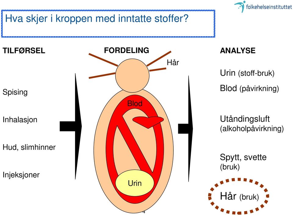 FORDELING Blod Urin 4 Hår ANALYSE Urin (stoff-bruk) Blod