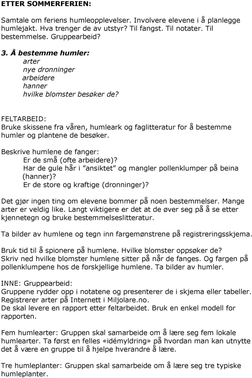 Beskrive humlene de fanger: Er de små (ofte arbeidere)? Har de gule hår i ansiktet og mangler pollenklumper på beina (hanner)? Er de store og kraftige (dronninger)?