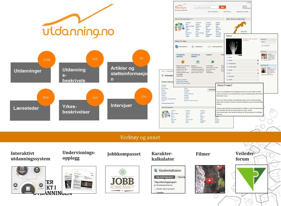 Intervjuer Verktøy og annet Interaktivt utdanningssystem