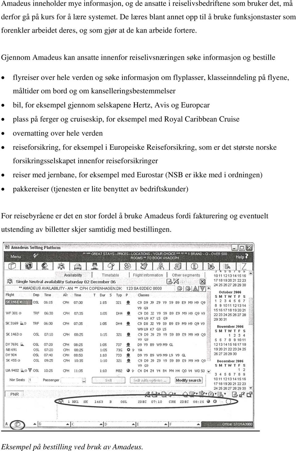 Gjennom Amadeus kan ansatte innenfor reiselivsnæringen søke informasjon og bestille flyreiser over hele verden og søke informasjon om flyplasser, klasseinndeling på flyene, måltider om bord og om