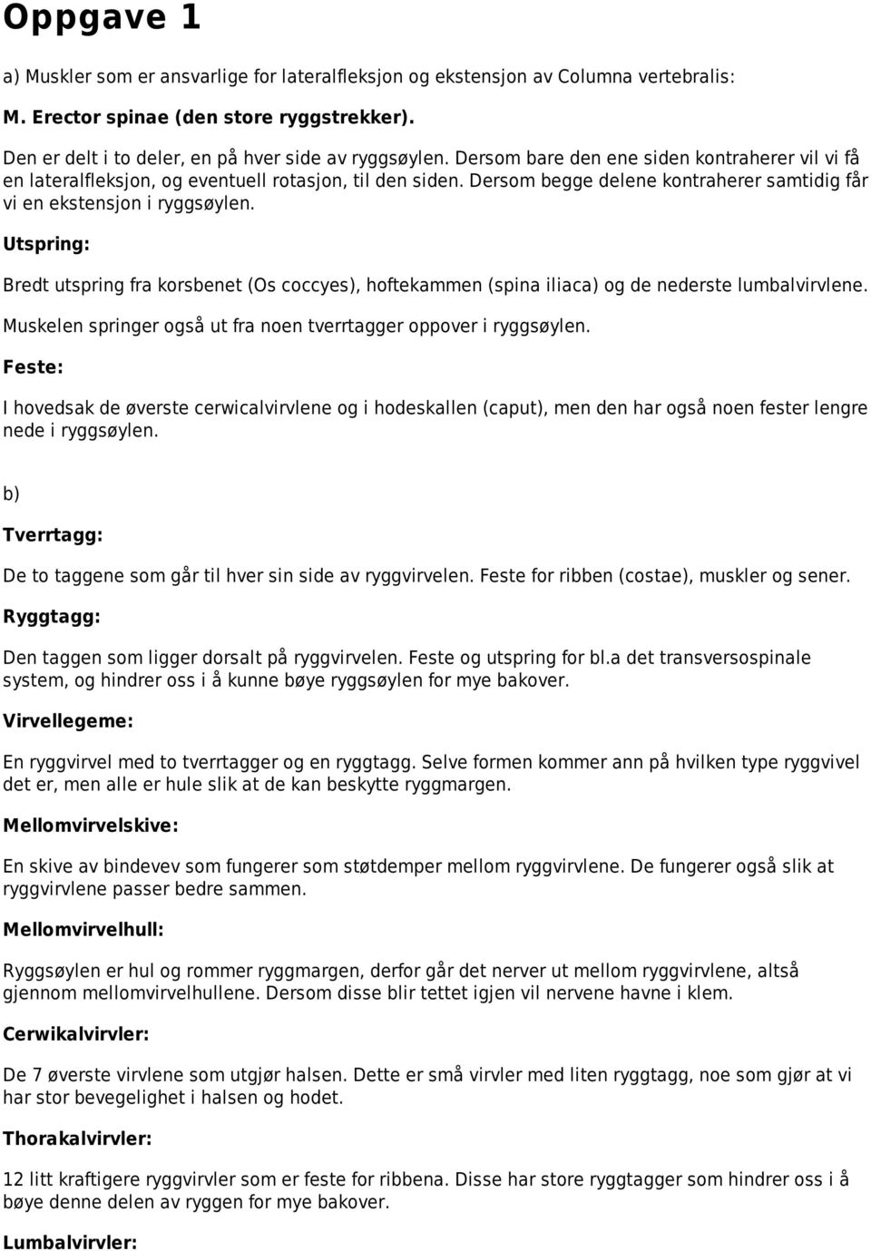 Bredt utspring fra korsbenet (Os coccyes), hoftekammen (spina iliaca) og de nederste lumbalvirvlene. Muskelen springer også ut fra noen tverrtagger oppover i ryggsøylen.