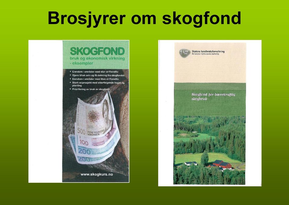 skogfond