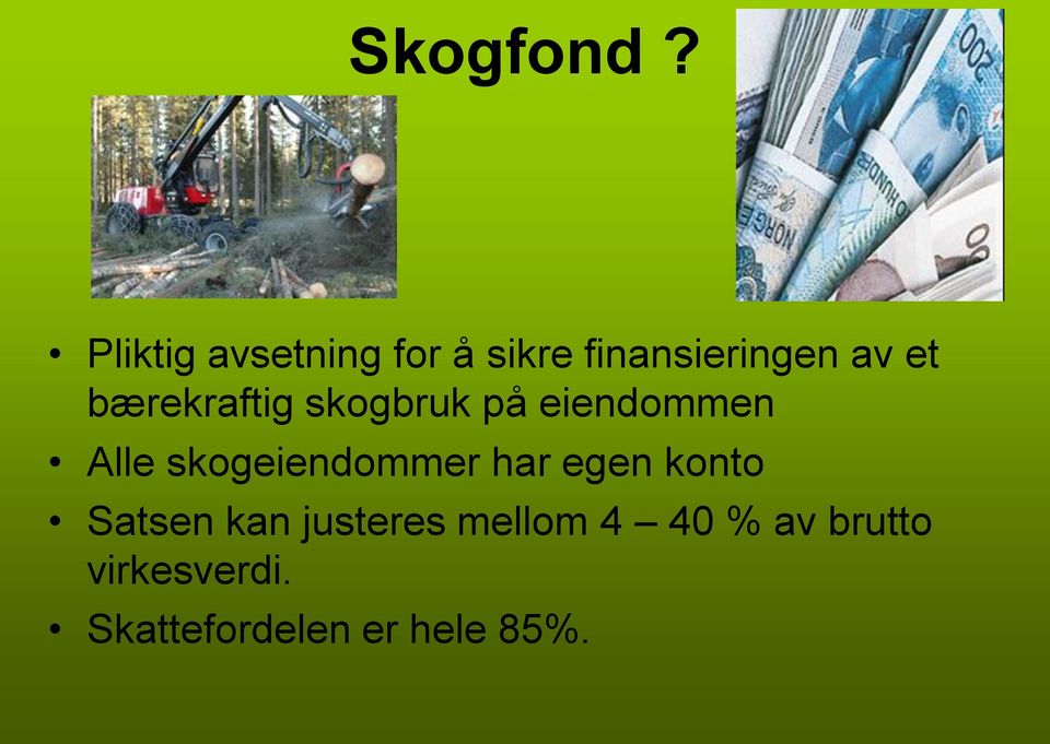 bærekraftig skogbruk på eiendommen Alle