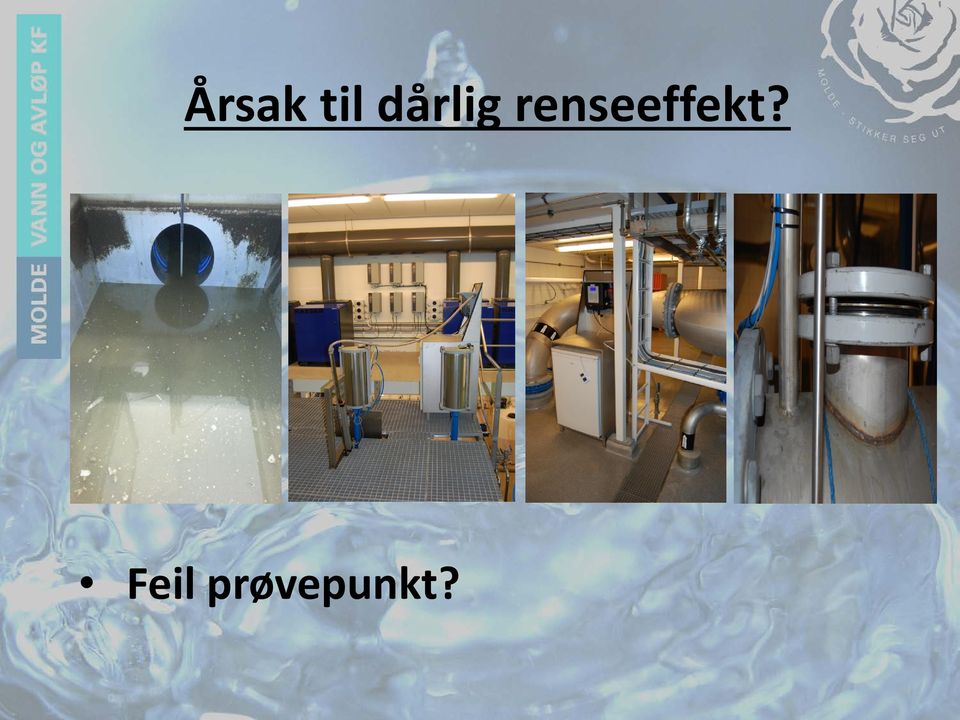 renseeffekt?