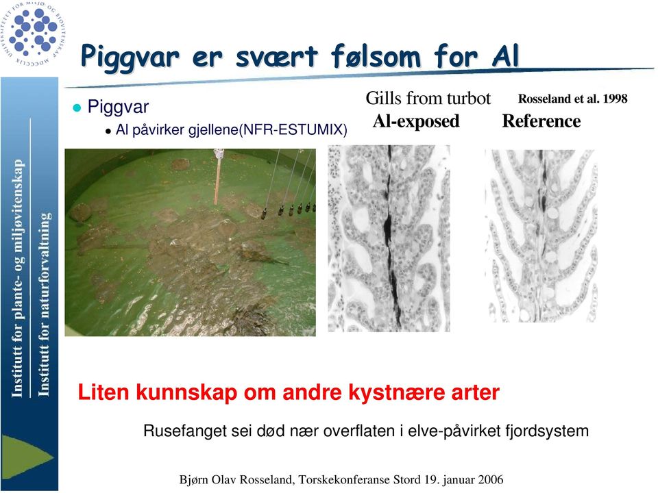 1998 Al-exposed Reference Liten kunnskap om andre kystnære